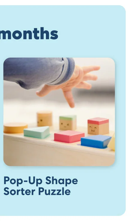 Pop-Up Shape Sorter Puzzle