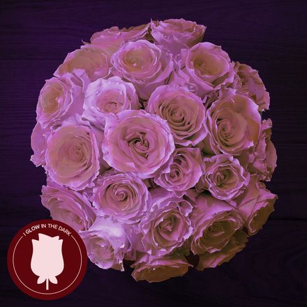 Pink Glow-In-the-Dark Roses Bouq