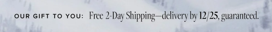 OUR GIFT TO YOU: FREE 2-DAY SHIPPING-DELIVERY BY 12/25, GUARANTEED.