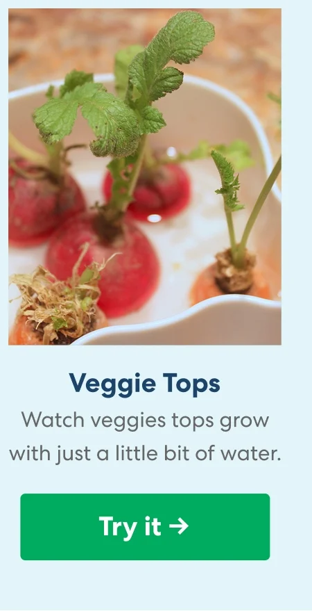 Veggie Tops