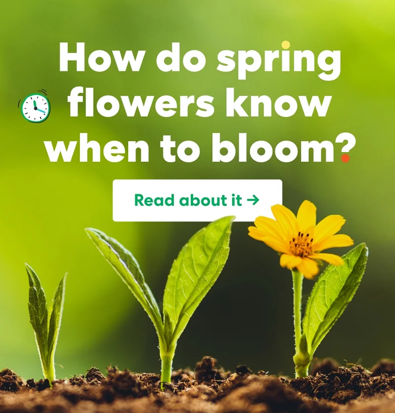 Get ready to grow