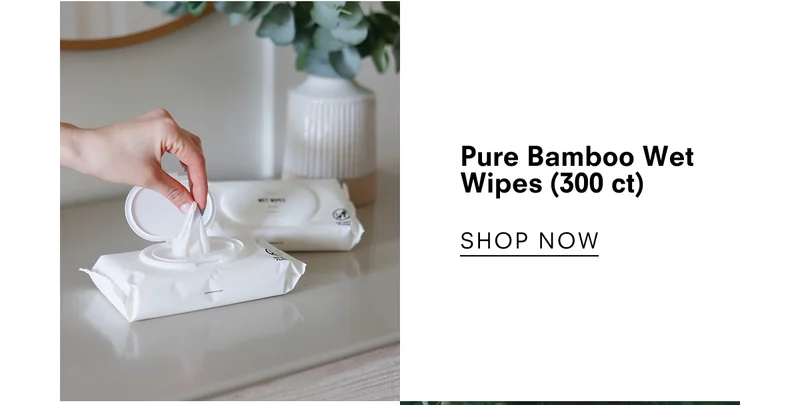 Pure Bamboo Wet Wipes (300 ct)
