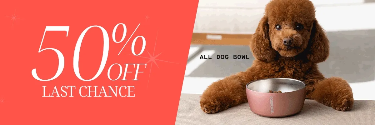 50% off last chance!