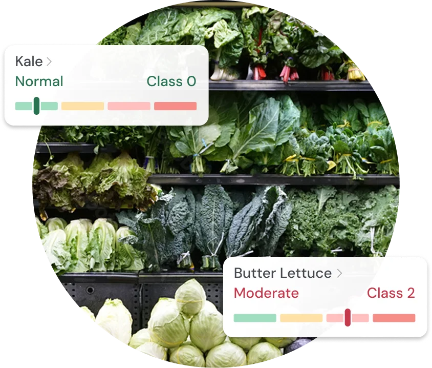 Everlywell 360 and Food Sensitivity