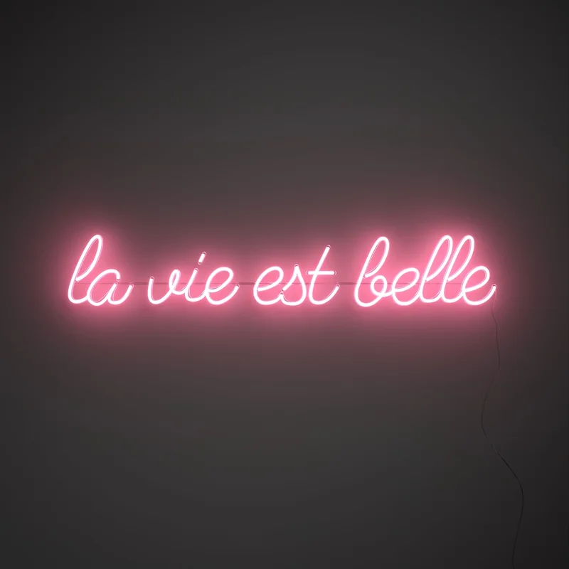 Image of La vie est belle