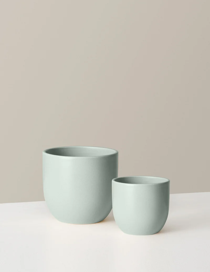 Image of Small & Medium Grant Planter Duo
