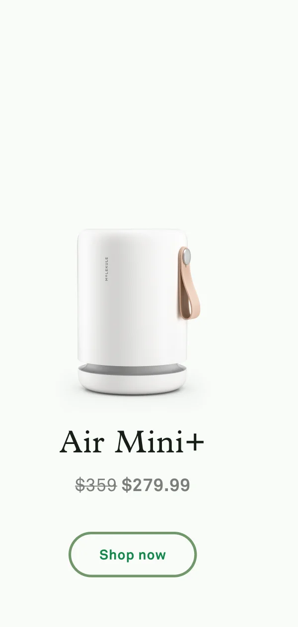 Air Mini+