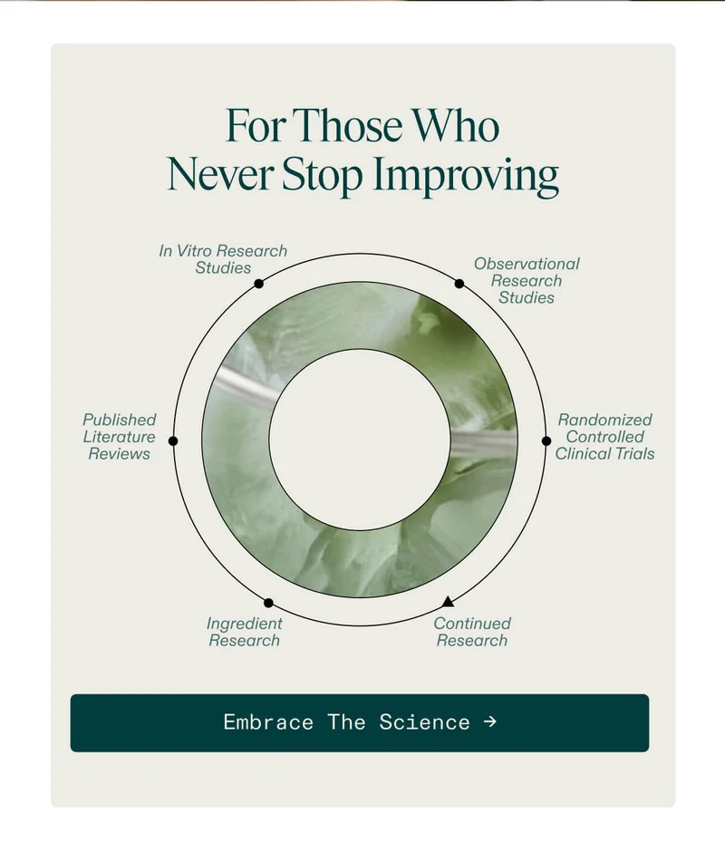 Never stop improving