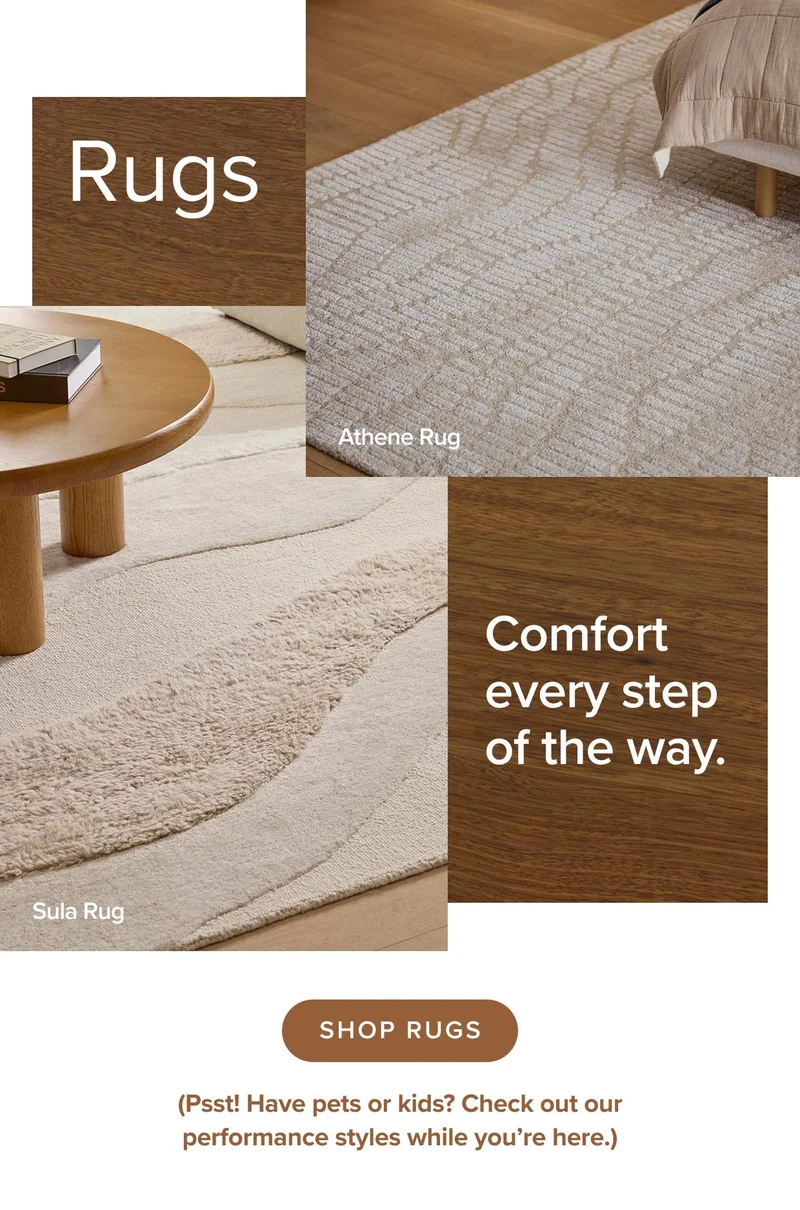 Shop rugs