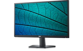 Dell 24 Monitor