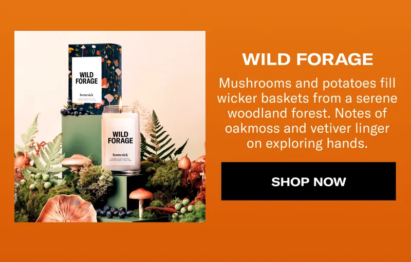 WILD FORAGE | Mushrooms and potatoes fill wicker baskets from a serene woodland forest. Notes of oakmoss and vetiver linger on exploring hands. | SHOP NOW
