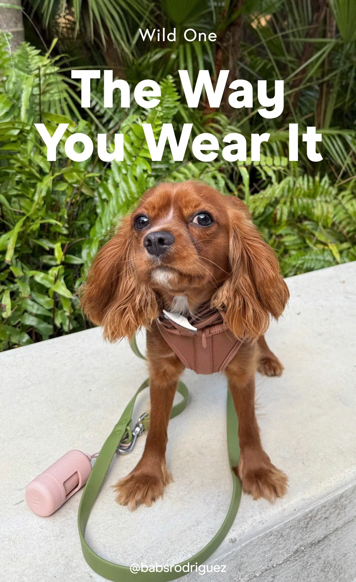 The Way You Wear It