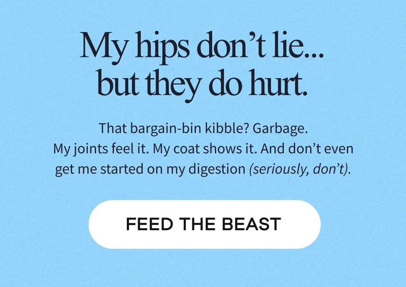 My hips don’t lie... but they do hurt. | That bargain-bin kibble? Garbage. My joints feel it. My coat shows it. And don’t even get me started on my digestion (seriously, don’t). | FEED THE BEAST