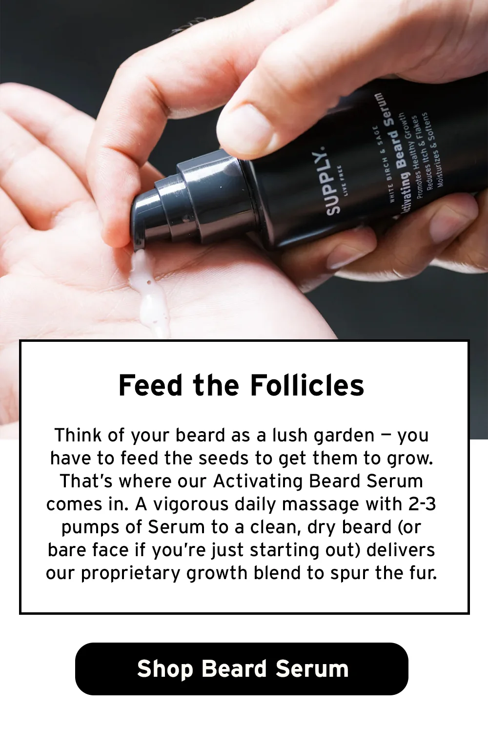 Feed the follicles. Shop beard serum