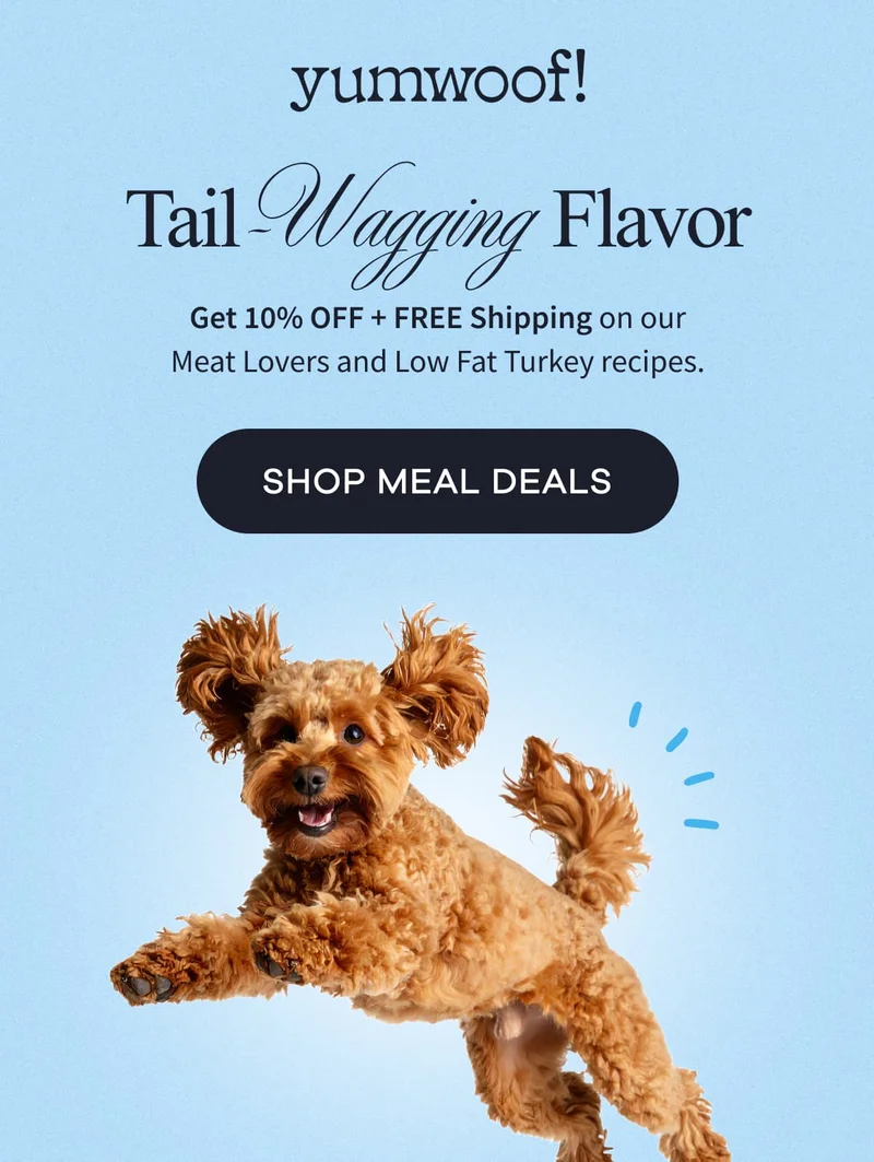 yumwoof! | Tail-Wagging Flavor | Get 10% OFF + FREE Shipping on our Meat Lovers and Low Fat Turkey recipes. | SHOP MEAL DEALS