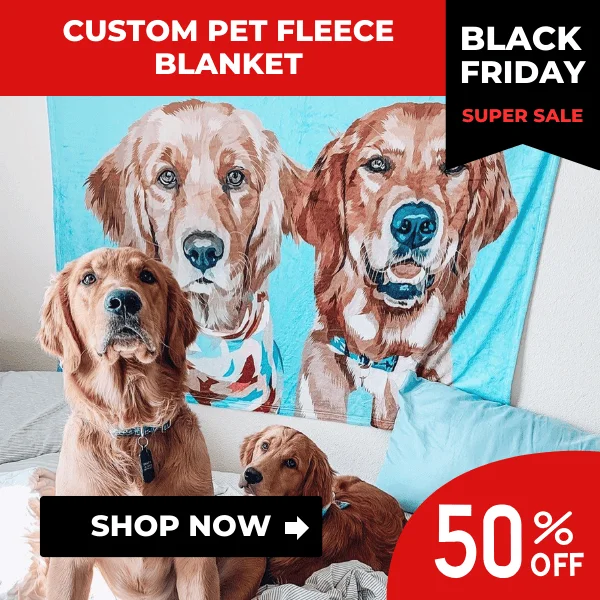 Early Black Friday Sale