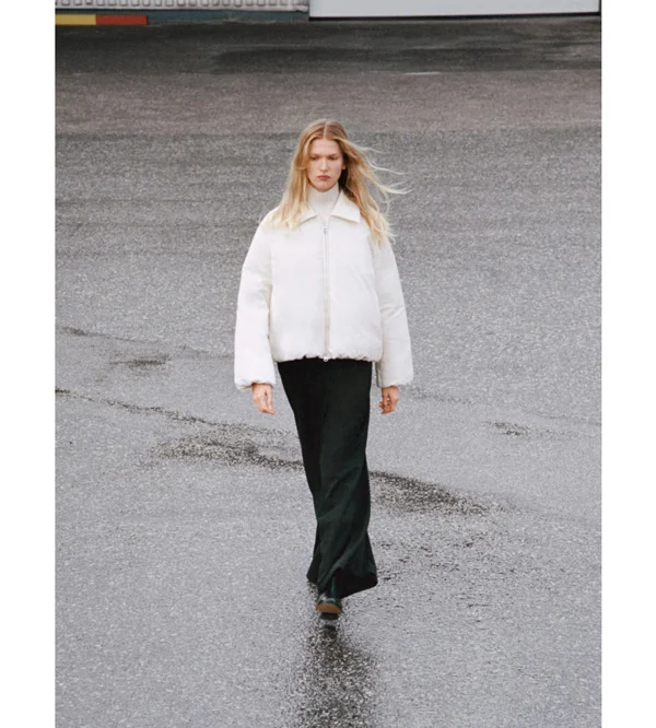 The sleek puffer image