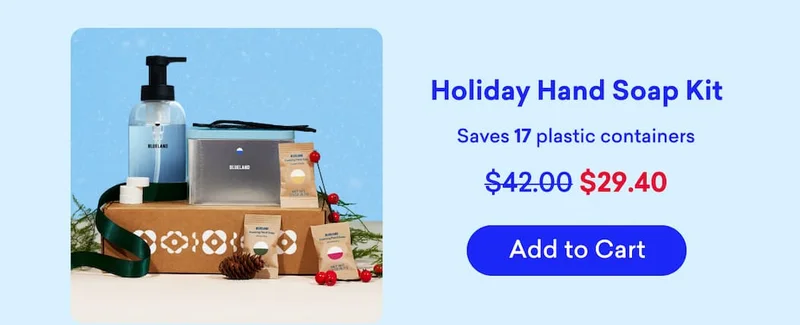 Holiday Hand Soap Kit