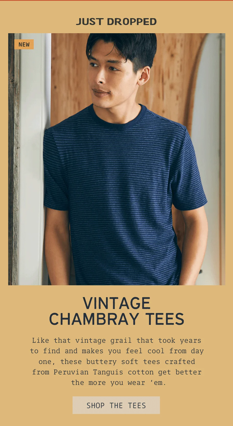 Just Dropped Vintage Chambray Tees