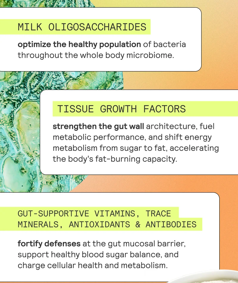 MILK OLIGOSACCHARIDES are whole food prebiotics that replenish the healthy population of bacteria throughout the whole body microbiome.  GROWTH FACTORS strengthen the gut wall architecture, fuel metabolic performance, and shift energy metabolism from sugar to fat, accelerating the body's fat-burning capacity.  GUT SUPPORTIVE VITAMINS, TRACE MINERALS, ANTIOXIDANTS & ANTIBODIES fortify defenses at the gut mucosal barrier, support healthy blood sugar balance, and charge cellular health and metabolism.