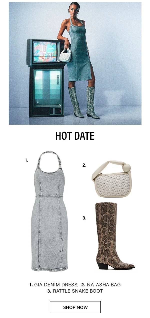 Hot Date - Gia Denim Dress, Natasha Bag, Rattle Snake Boot