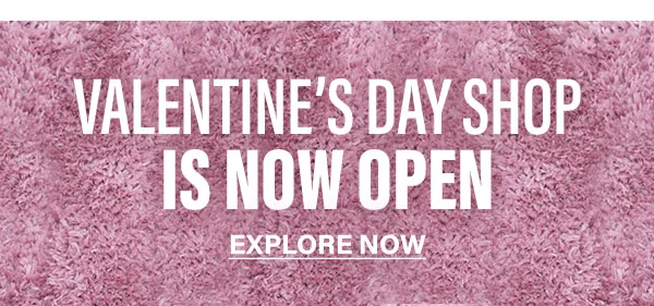 Valentines Day Banner