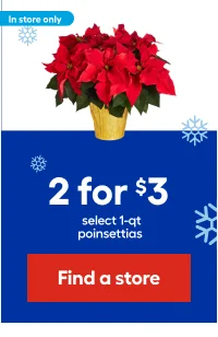 2 for $3 select 1-qt poinsettias.
