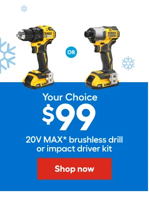 Your Choice $99 20V MAX brushless drill or impact driver kit.