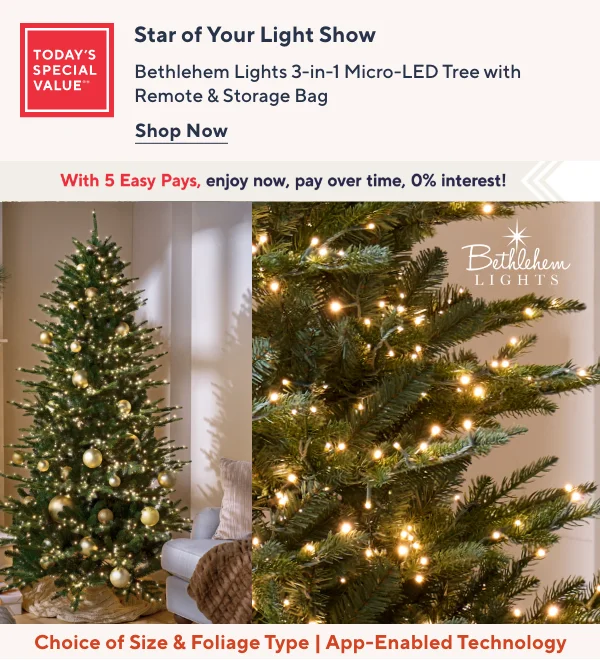 Bethlehem Lights TSV