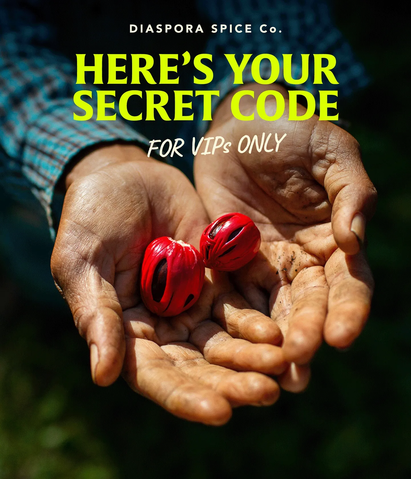 Here's Your Secret Code. For VIPs only!