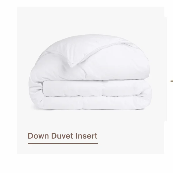 Down Duvet Insert