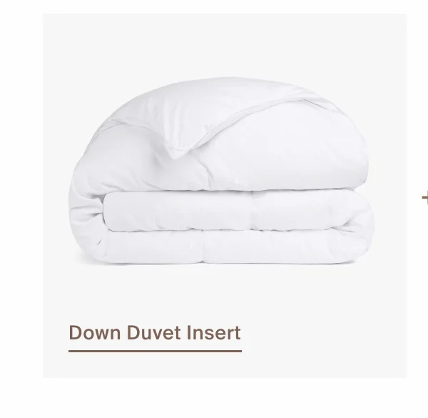 Down Duvet Insert