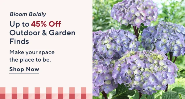 garden & outdoor