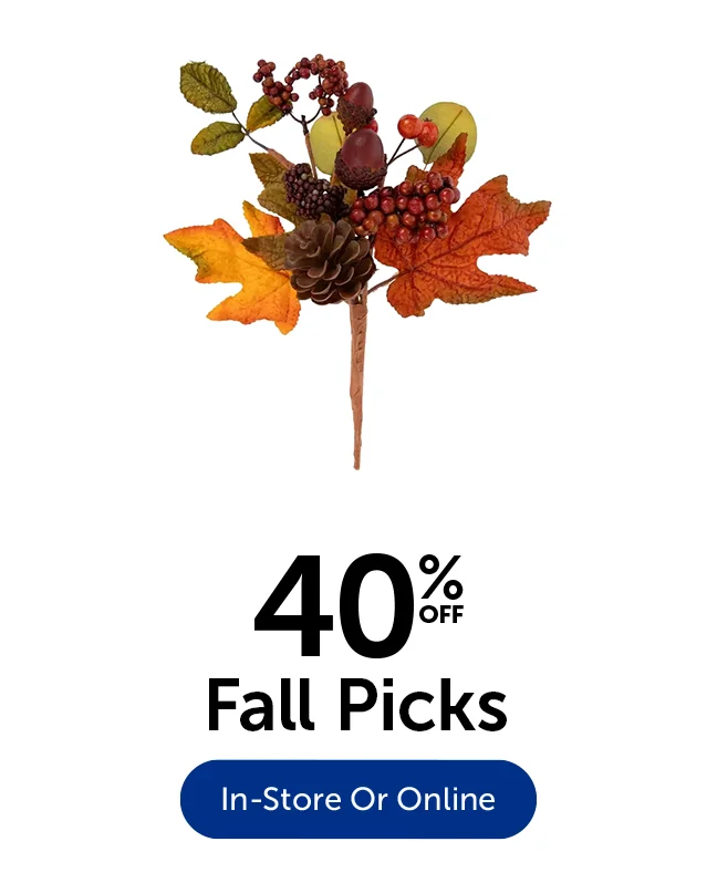 40% Off Fall Picks
