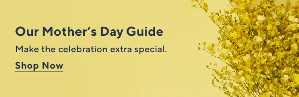 mothers day guide
