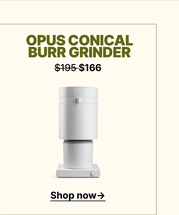 Opus Conical Burr Grinder