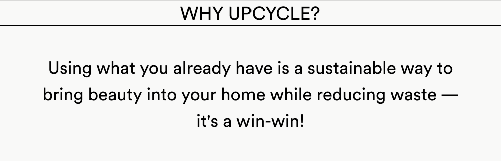 Why Upcycle?