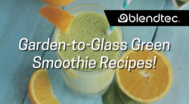 Blendtec Recipes