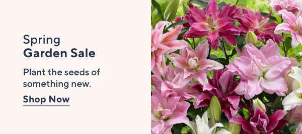 Spring Garden Sale