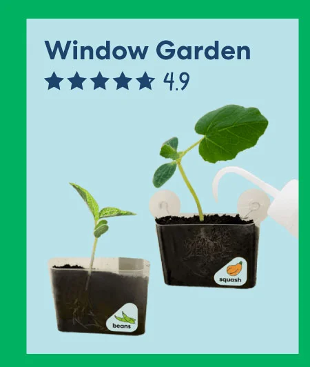 Window Garden