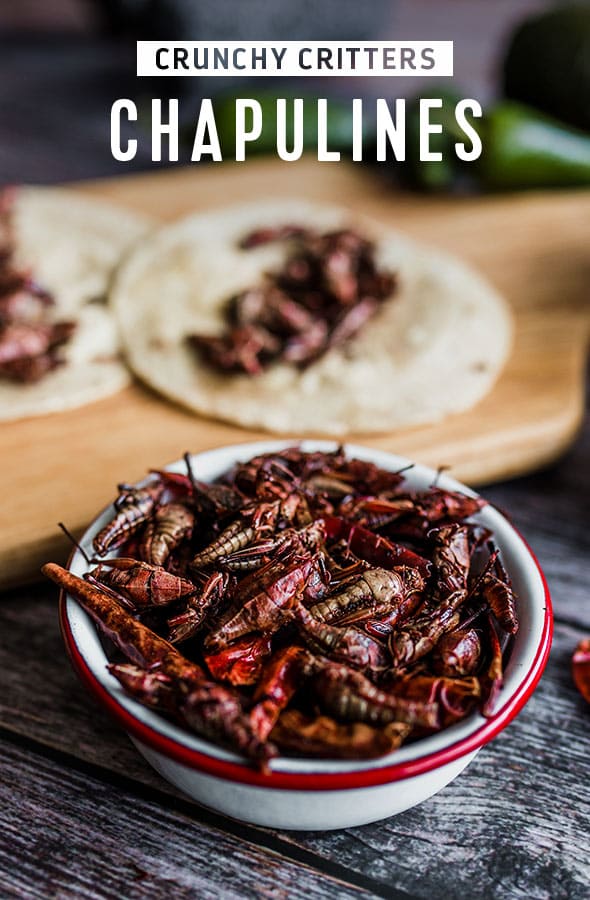 CHAPULINES