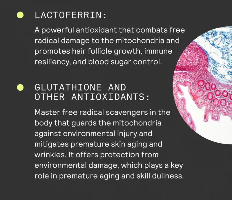 Lactoferrin and Glutathione