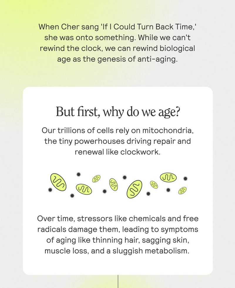 But first, we do we age?