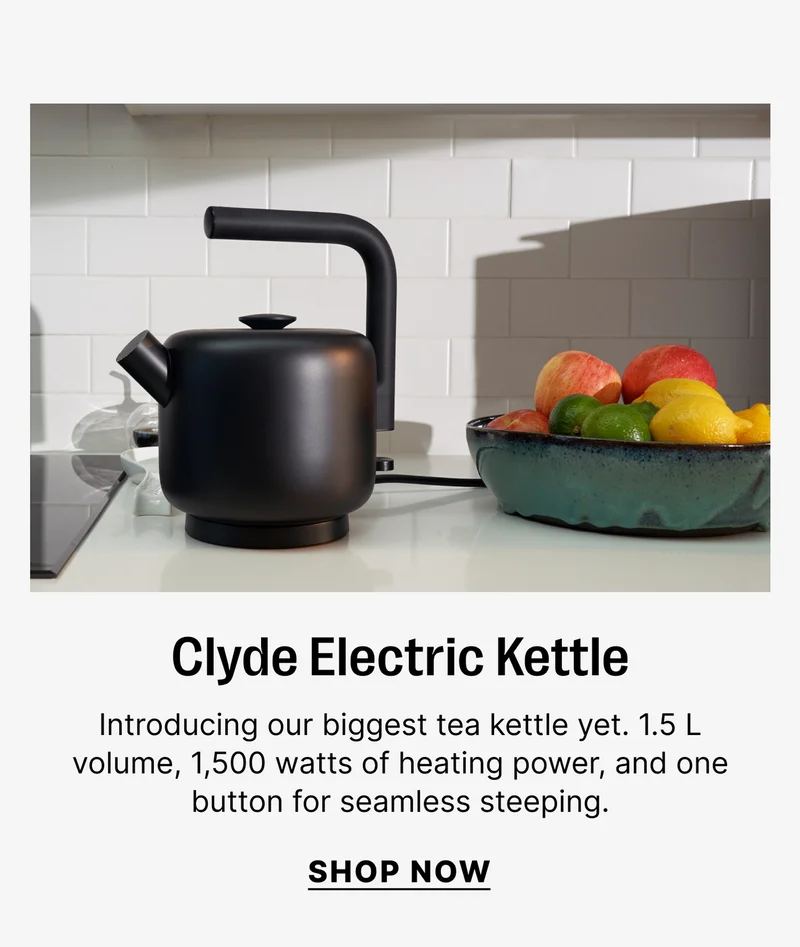 Clyde Electric Kettle - Shop Now