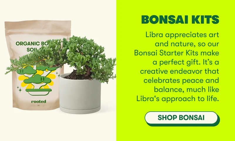 Bonsai Kits Libra appreciates art and nature, so our Bonsai Starter Kits make a perfect gift. It’s a creative endeavor that celebrates peace and balance, much like Libra's approach to life. [SHOP BONSAI]