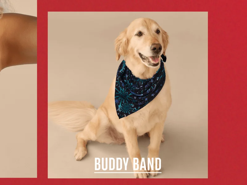 Buddy Band Buddy Band