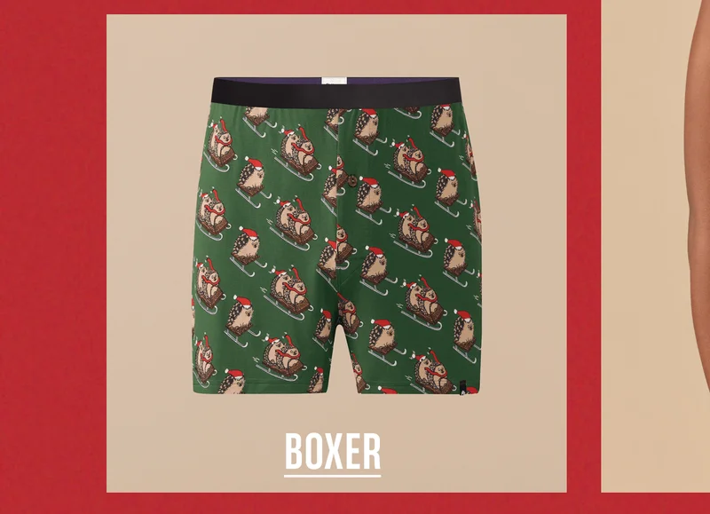 Boxer Boxer