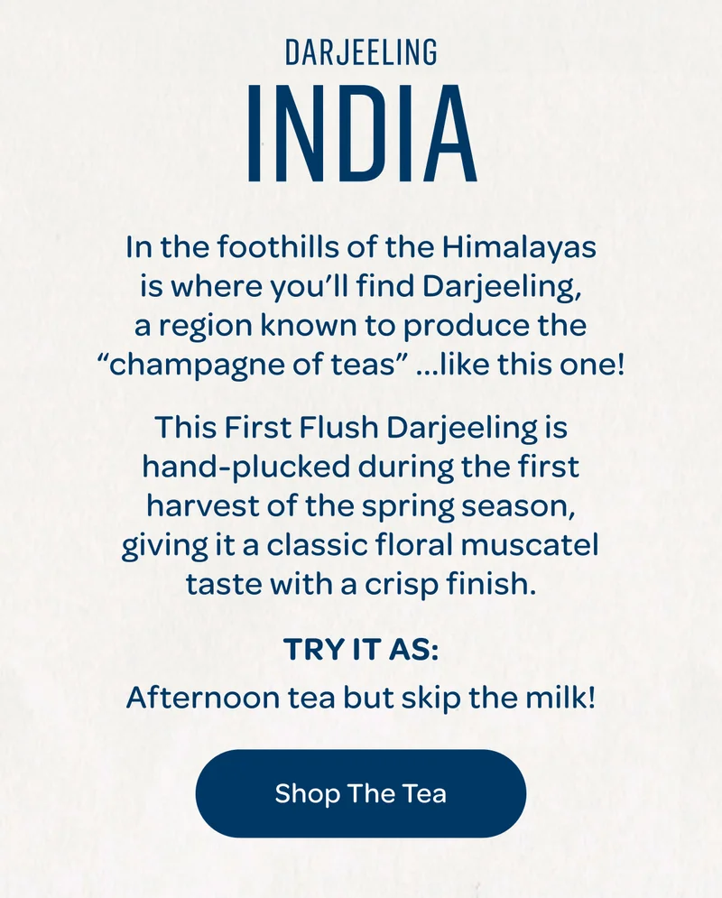 In the foothill of the Himalayans is where you’ll find Darjeeling, a region known to produce the “champagne of teas” …like this one! Shop The Tea