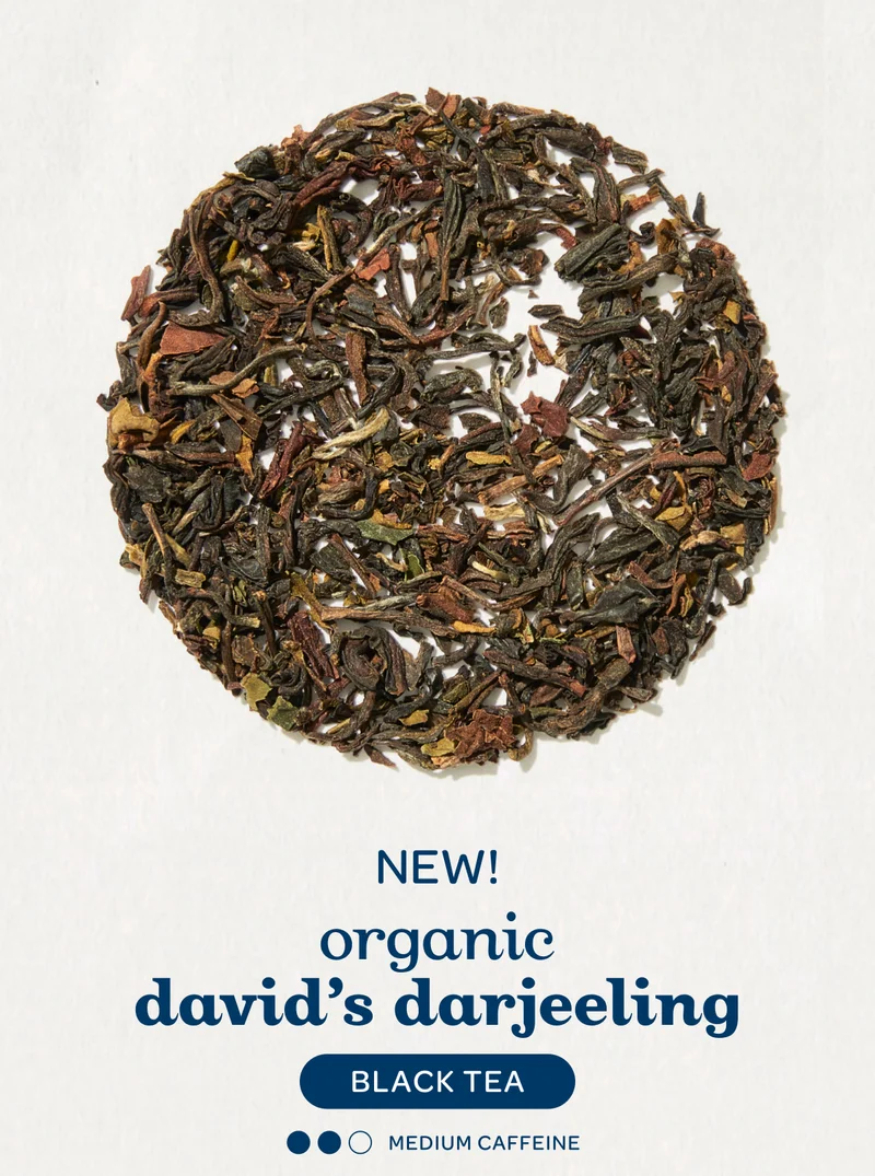 New! organic david’s darjeeling black tea / medium caffeine