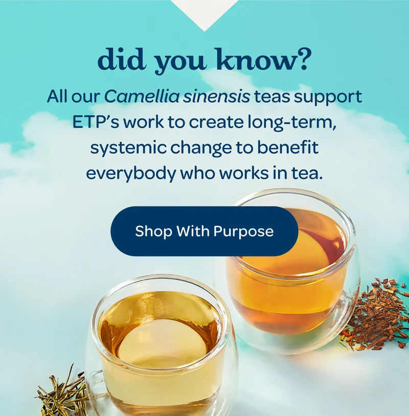 Did you know? All our Camellia sinensis teas support ETP’s mission to create long-term, systemic change to benefit everybody who works in tea. Shop with Purpose